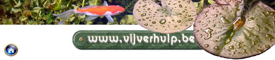 www.vijverhulp.be: de snelste weg naar een heldere vijver!