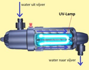 werking UV-filter vijver