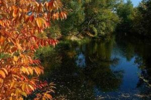 Checklist vijveronderhoud herfst