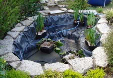 plantmanden in vijver
