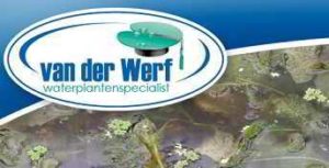 Waterplantenspecialist